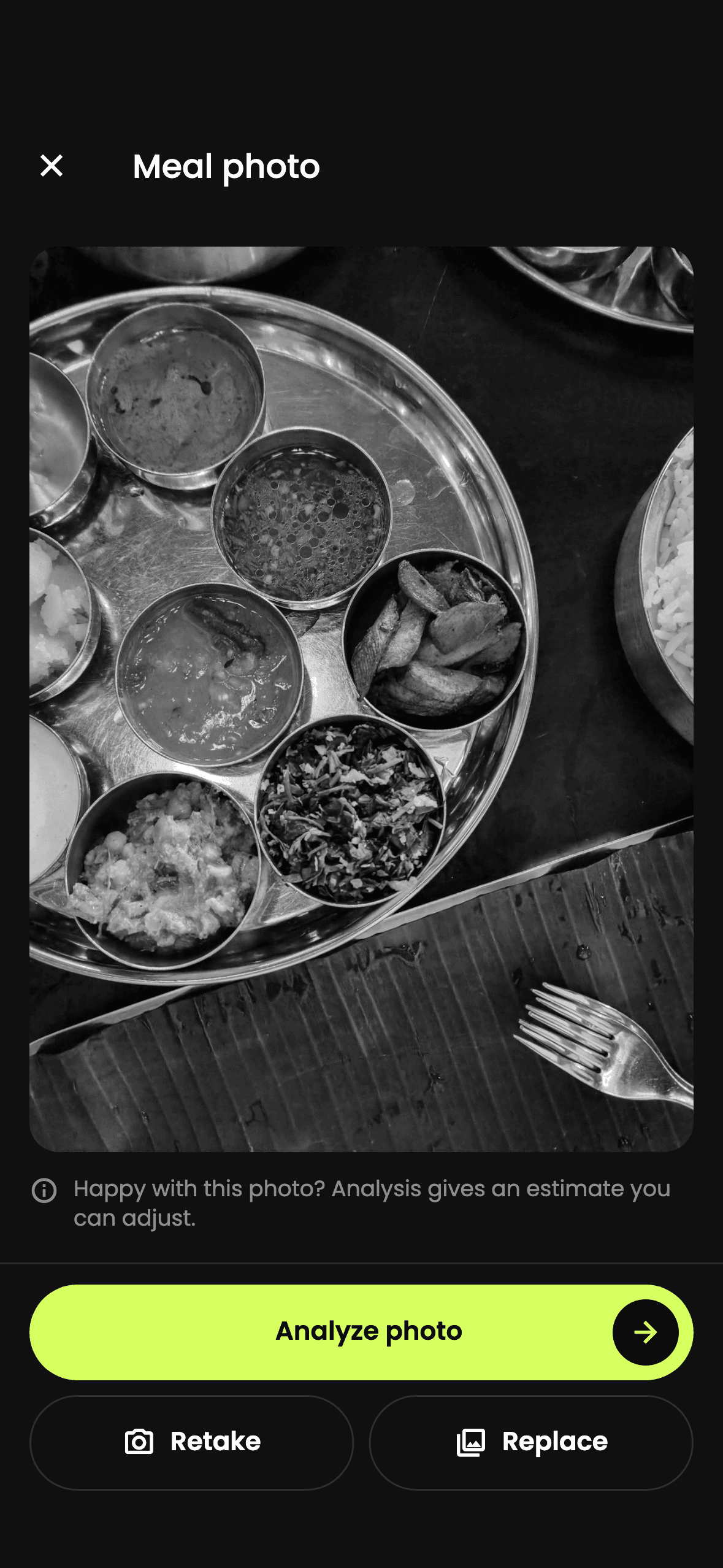 Meal photo screen with a thali ready to analyse